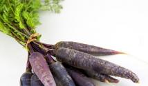 Фиолетовая морковь-интересный овощ на вашем огроде Морковь изначально была фиолетовой